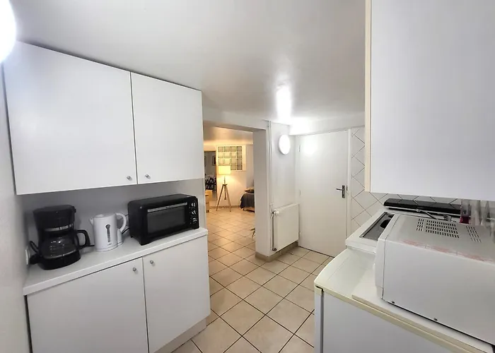 Appartement J1 St-quentin-en -yvelines En Rez De Jardin Avec Parking Trappes